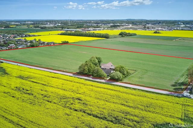 A solitary building surrounded by trees, set on a large field with yellow rapeseed and a road nearby.