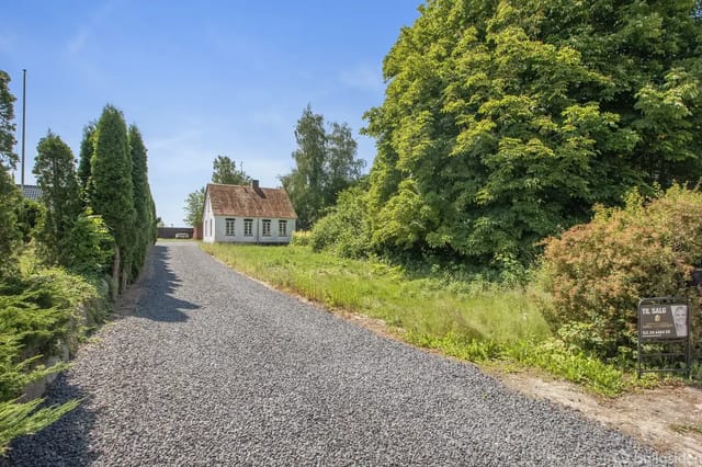 A small white house with a red roof at the end of a gravel path, surrounded by green trees and bushes. A 'For Sale' sign is visible on the right.