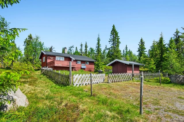 Welcome to Bjønnåsen 447!
