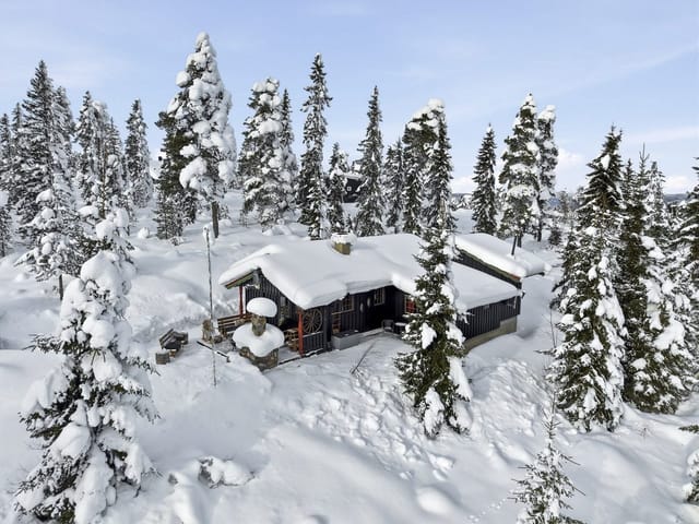 Welcome to Bekkekollhellinga 16! Photo by Arild Brun Kjeldaas