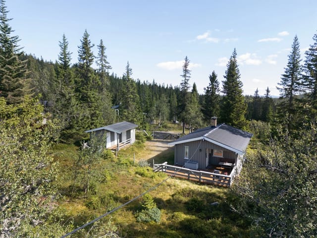 Charming cabin offering tranquility, nature experiences, and authentic cabin coziness year-round.