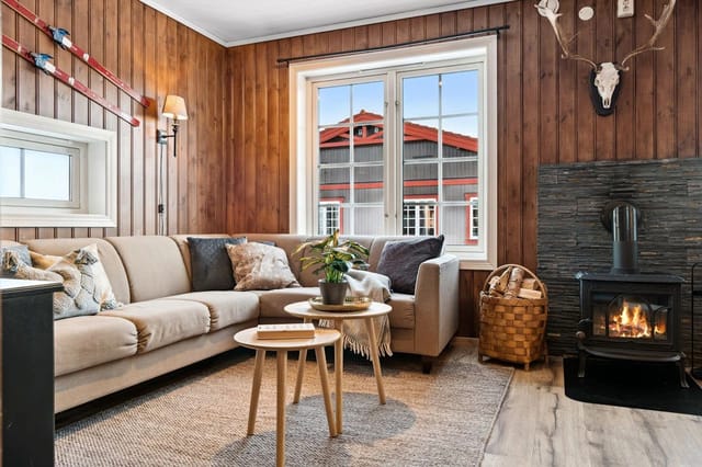 Cozy sofa corner by the fireplace providing warmth and a pleasant atmosphere. Beautifully stone-clad fireplace wall.