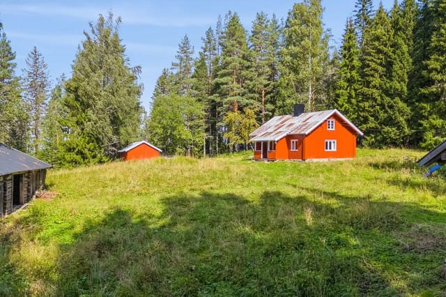 The property consists of a cabin and three outbuildings.