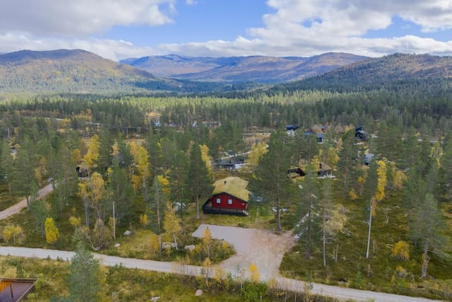 Exterior aerial view of the cabin
