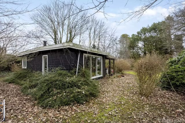 A black wooden house with large glass windows stands in a garden covered with fallen leaves and surrounded by bushes and trees.