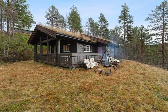 Beautiful cabin by Resvatnet