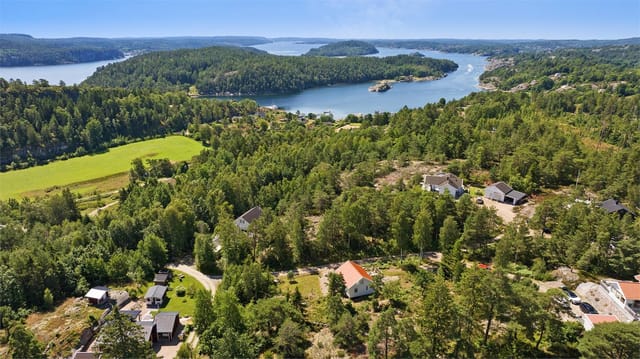 Front view of the house and garden
