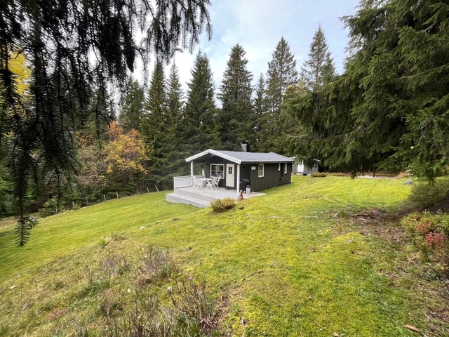 Large and open plot surrounds the cabin with natural beauty.