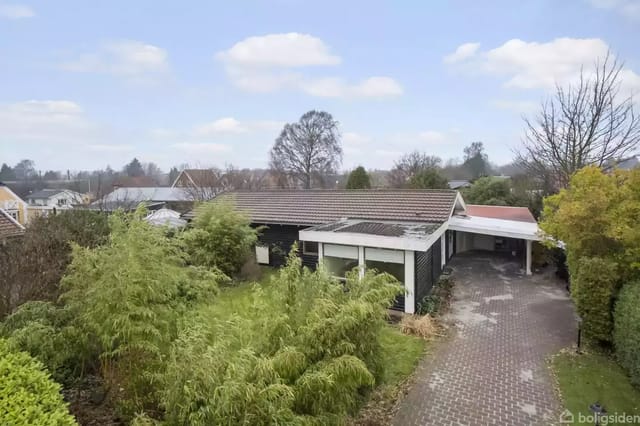 A black-painted house with a flat roof hidden behind lush, green vegetation. In front of the house is a paved driveway. Surrounding gardens and trees create a peaceful residential street atmosphere.