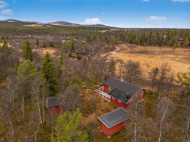 Charming cabin with annex and woodshed on a large plot