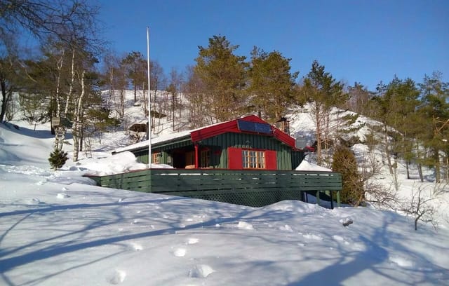 Winter