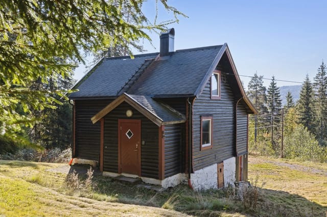 Welcome to an exciting restoration project with many possibilities. The cabin has water, electricity, and road access.