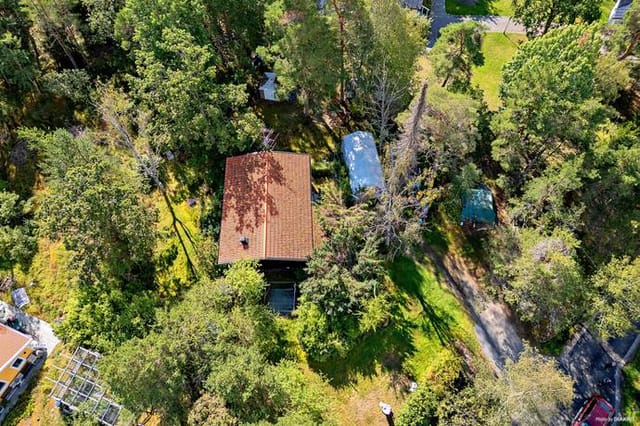 Front view of the house and garden