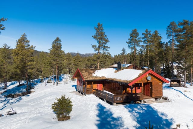 Winter/Easter photo - ski directly into the cross-country trails behind the cabin