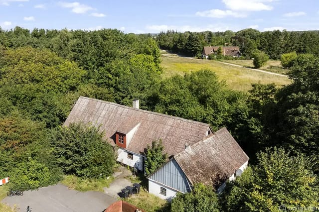 An old house with a sloping roof surrounded by dense green vegetation. A couple of bicycles are parked on an asphalt road in front, with a field and several trees in the background.