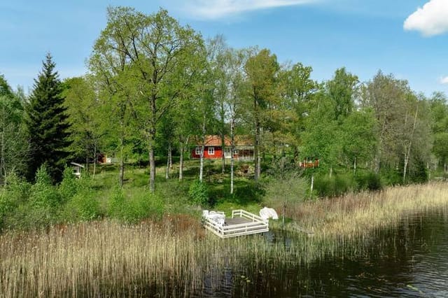 Lakeside view of the property