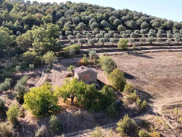 Rustic house with land