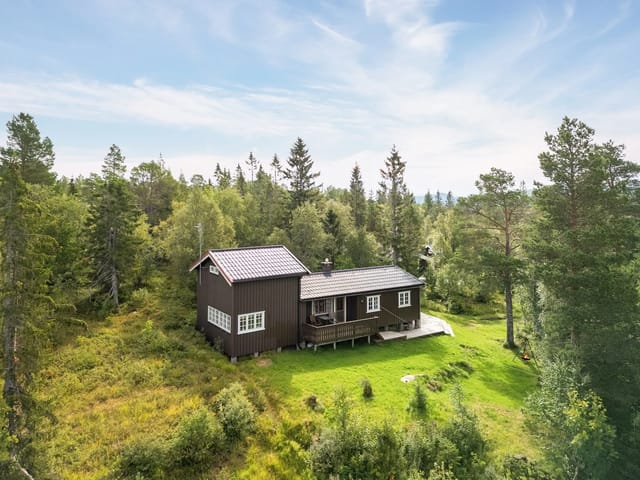 Drone photo of the property