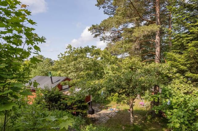 Exterior view of the summer cottage