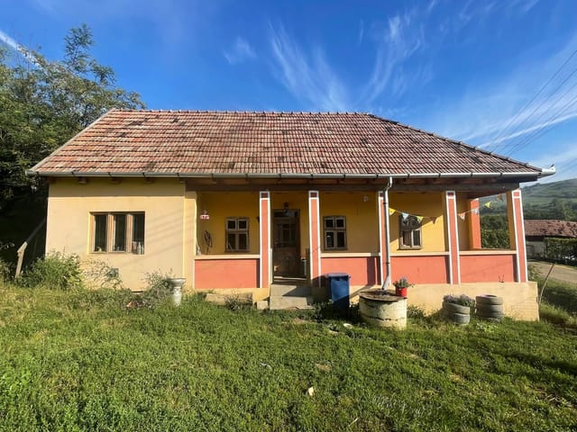 Front view of the house and garden