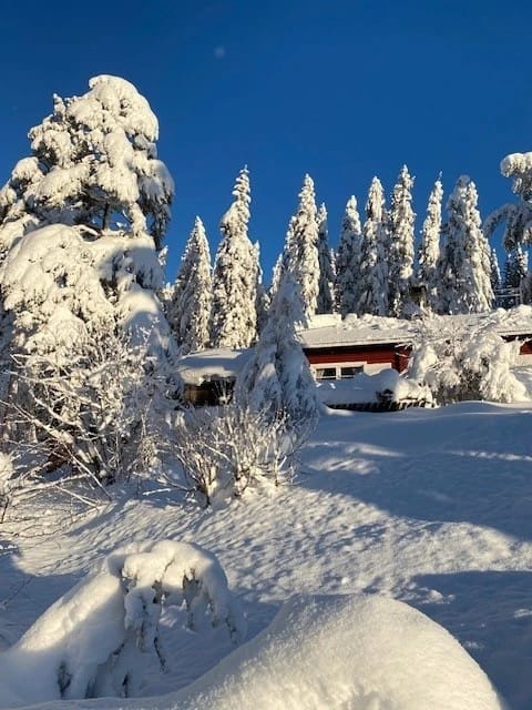 The cabin in winter attire