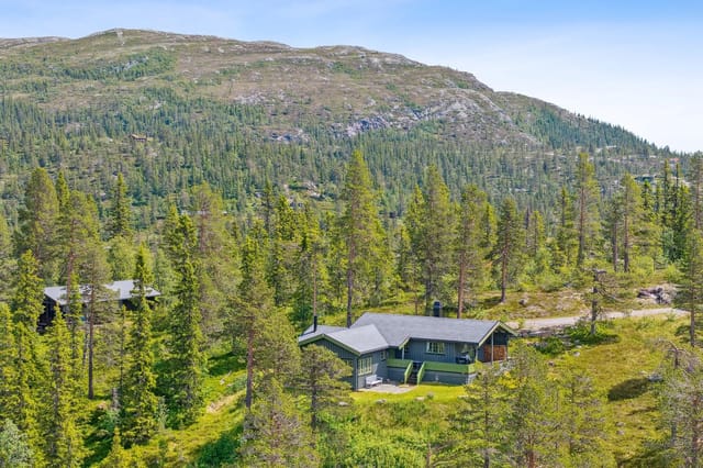 Front view of the mountain cabin