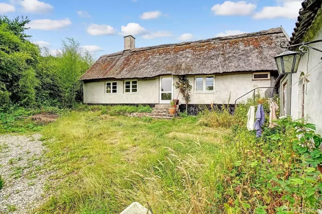 A thatched house with a white facade stands quietly in a lush garden, surrounded by tall grass and bushes. There is a staircase at the entrance.