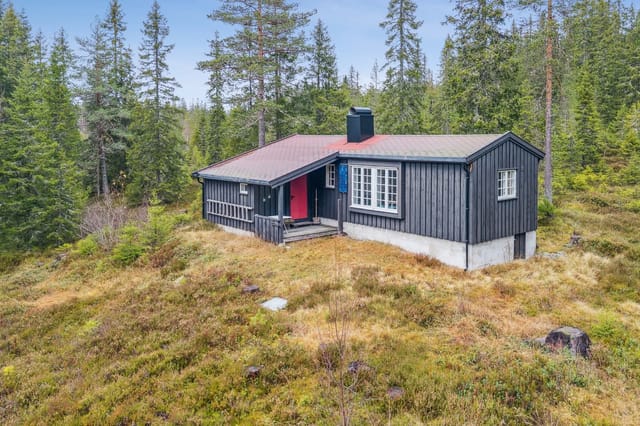 Charming cabin presented by Gunn Margit Andreassen at PrivatMegleren Hønefoss