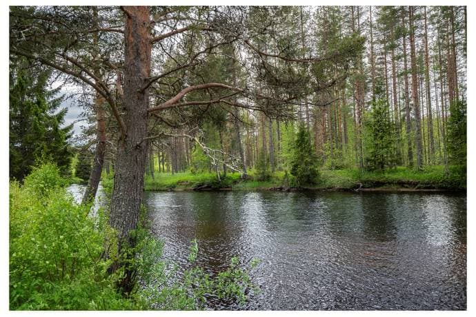 https://bilder.hemnet.se/images/itemgallery_cut/fd/6c/fd6cd2596075a8091c7f8855486d70b3.jpg