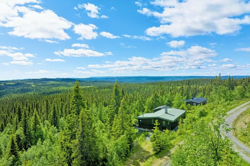 https://images.finncdn.no/dynamic/1280w_webp/2025/4/vertical-2/08/1/358/683/121_426d445f-332f-4211-95d0-1ffa9f03c75c.jpg