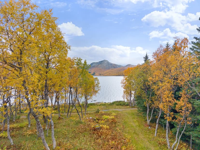 https://images.finncdn.no/dynamic/1600w/2026/10/vertical-2/14/3/478/694/043_99af2a4f-c4f3-4866-9e60-a0a099592cad.jpg