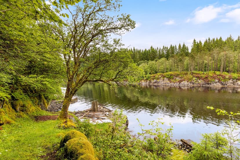 https://images.finncdn.no/dynamic/1600w/2026/6/vertical-2/30/7/468/509/507_53c9aea1-6da6-4e48-be41-98bc74d0b0a2.jpg