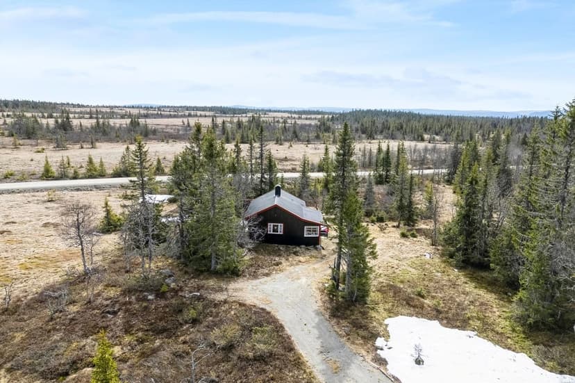 https://images.finncdn.no/dynamic/1600w_webp/2025/5/vertical-2/12/4/407/488/874_9dcb6372-d2a1-43e5-8146-92e247f94c64.jpg