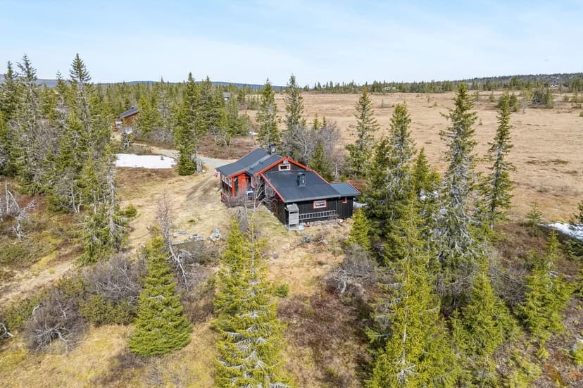 https://images.finncdn.no/dynamic/1600w_webp/2025/5/vertical-2/12/4/407/488/874_a2f98075-8831-4970-9ca5-c37e364ed53e.jpg