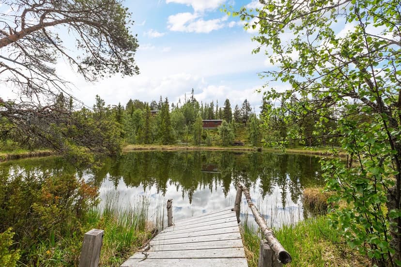 https://images.finncdn.no/dynamic/1600w_webp/2025/7/vertical-2/10/0/415/196/030_039003ae-1248-4185-a03e-9c4f31c35e4a.jpg