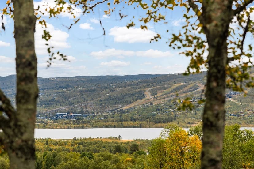https://images.finncdn.no/dynamic/1600w_webp/2025/9/vertical-2/23/5/425/132/235_a53e40e3-0903-49d4-8163-6e521480bf34.jpg