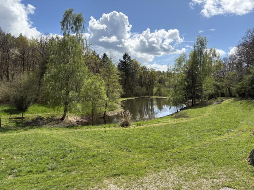 https://media.rightmove.co.uk/property-photo/087b0b86c/94182558/087b0b86ca6e8c602769f8602c781a13.jpeg