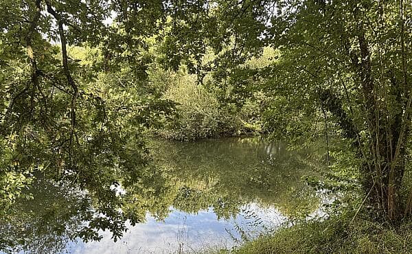 https://media.rightmove.co.uk/property-photo/10fc16262/89477922/10fc16262a9e903ec9d726bdb796f857.jpeg