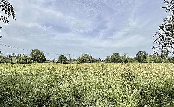 https://media.rightmove.co.uk/property-photo/82bdb0814/89660235/82bdb08147bab321d6517ec27c978f03.jpeg