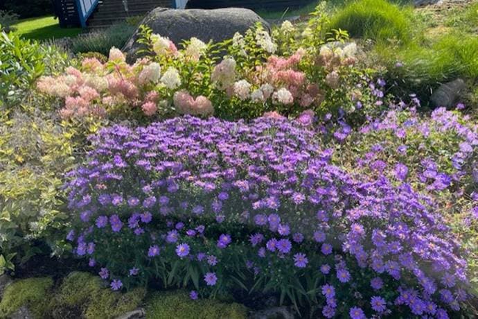 https://storage.googleapis.com/homestra-images/property-image-0c7f5cfa-8ed3-4242-9dca-d45f22535856-1747586399.jpg