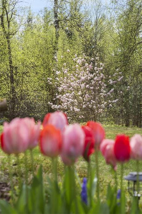 https://storage.googleapis.com/homestra-images/property-image-15139320-c25d-46f8-9d97-721b6fb27f33-1746884439.jpg