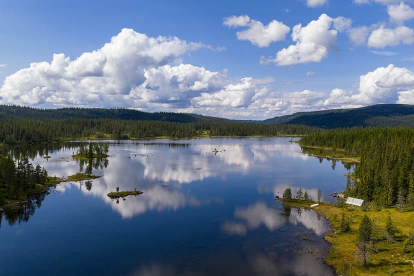https://storage.googleapis.com/homestra-images/property-image-768b6815-9562-4d76-bf8d-73cbf7a59691-1758395198.jpg