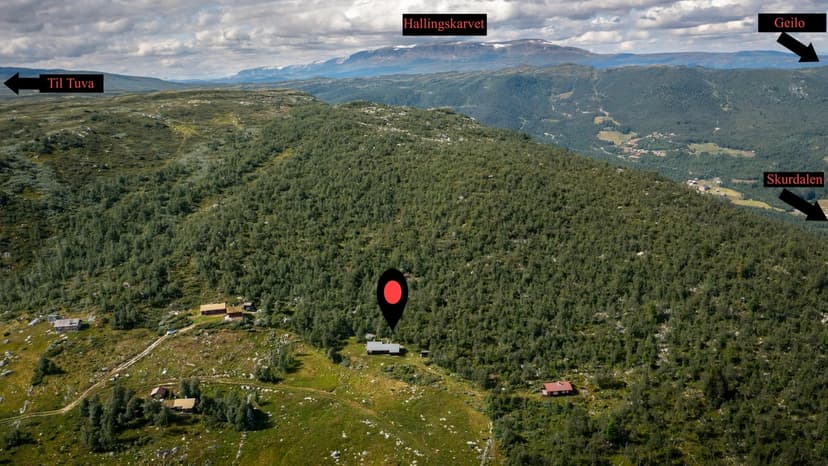 https://storage.googleapis.com/homestra-images/property-image-946e742d-ac4d-4993-b81a-d48402104e4b-1756554339.jpg
