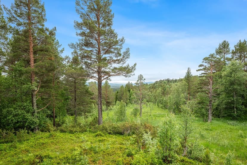 https://storage.googleapis.com/homestra-images/property-image-ab38ac0f-9759-4c8b-b000-695729eb756c-1789212348.jpg