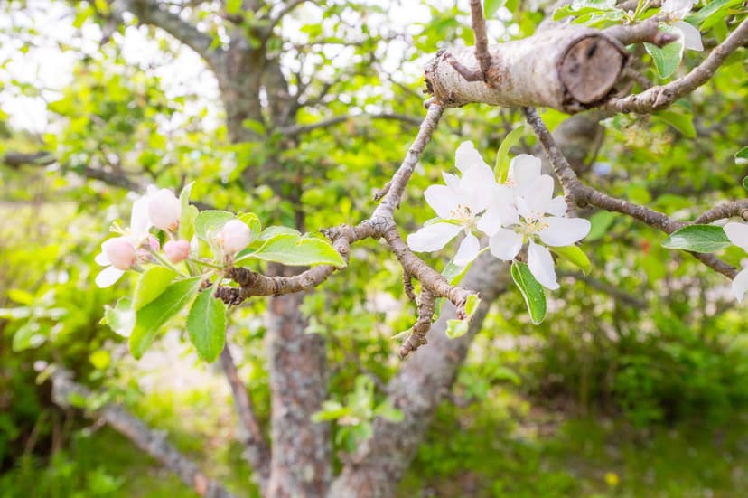 https://storage.googleapis.com/homestra-images/property-image-f0a84f16-8b68-4d0e-92c6-db4b3e35d637-1788702018.jpg